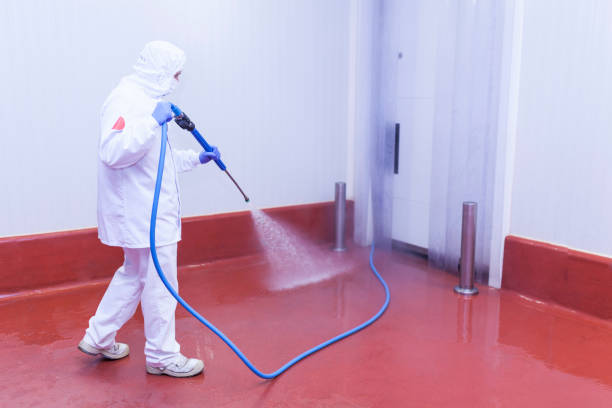 Best Dumpster Area Cleaning  in Bruceville Eddy, TX